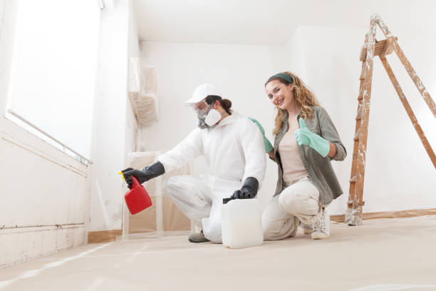 Best Mold Removal for HVAC Installations  in Alva, OK